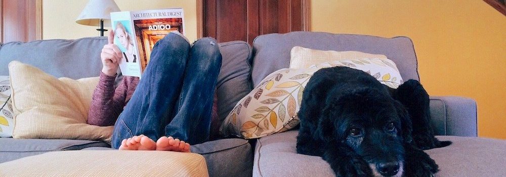 Person reading a magazine on sofa with a big dog